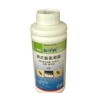 白蟻防治